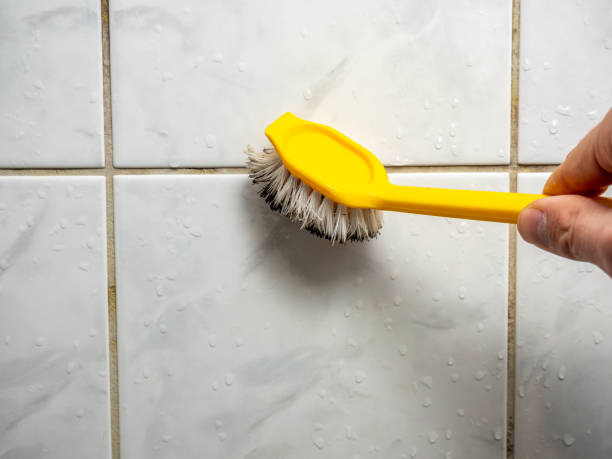 Best Mold Testing and Removal  in Milford, DE