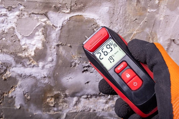 Best Toxic Mold Removal  in Milford, DE