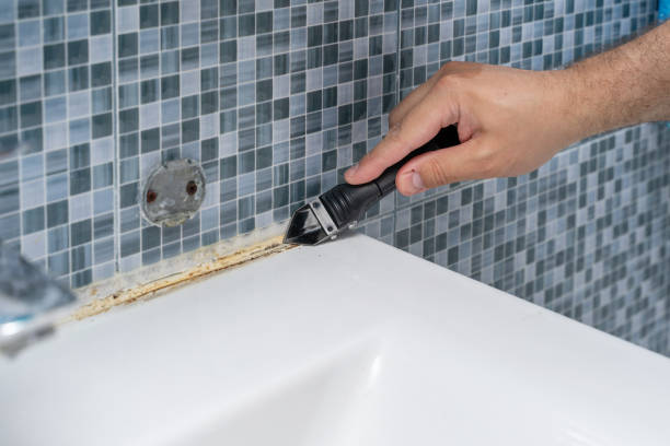 Best Mold Removal Company Near Me  in Milford, DE