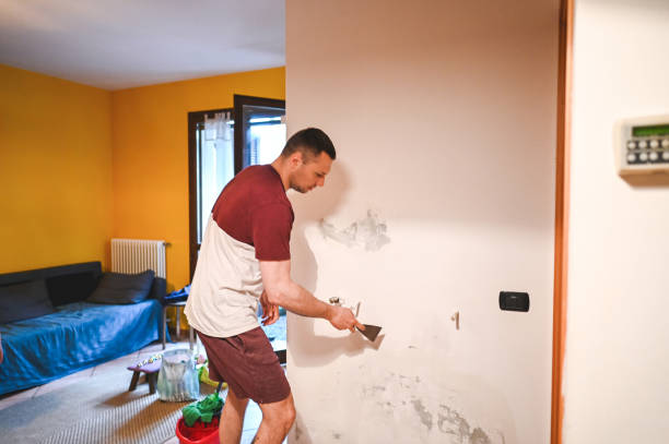 Attic Mold Removal in Milford, DE