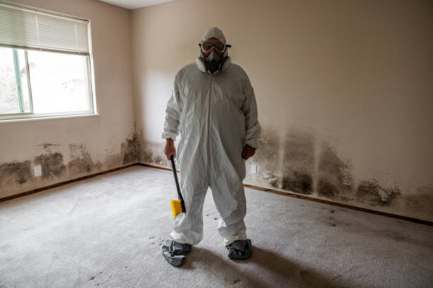 Best Commercial Mold Removal  in Milford, DE