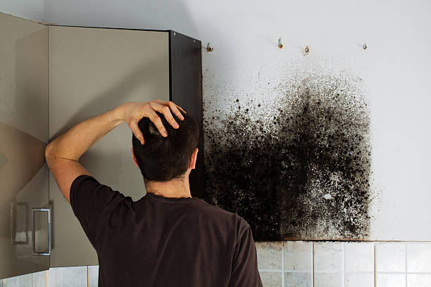 Best Residential Mold Removal  in Milford, DE