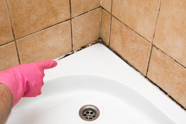 Office Mold Removal Services in Milford, DE
